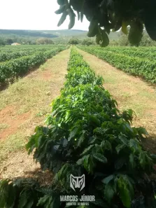 Fazenda/Sítio à venda, 999999999m² no , Grão Mogol