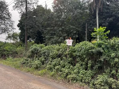 Fazenda/Sítio à venda, 6000m² no Parque Presidente Vargas, Londrina