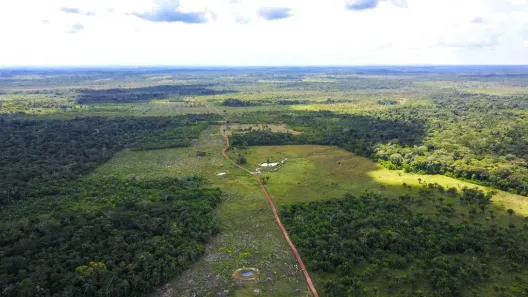 Fazenda/Sítio com 3 Quartos à venda, 18130000m² no Centro, Alenquer