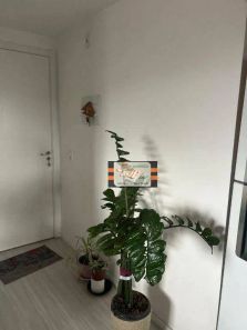 Apartamento com 2 Quartos à venda, 44m² no Vila Zat, São Paulo