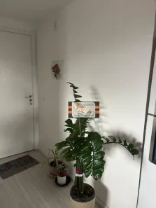 Apartamento com 2 Quartos à venda, 44m² no Vila Zat, São Paulo