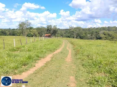 Fazenda/Sítio com 3 Quartos à venda, 3m² no Setor Central, Cezarina