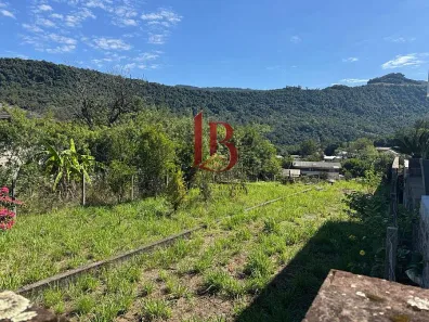 Lote/Terreno à venda, 366m² no Vila Cristina, Caxias do Sul