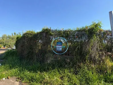 Lote/Terreno à venda, 962m² no Nova São Pedro II, São Pedro