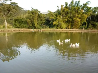 Fazenda/Sítio à venda, 143000m² no Itajubá, Barra Velha