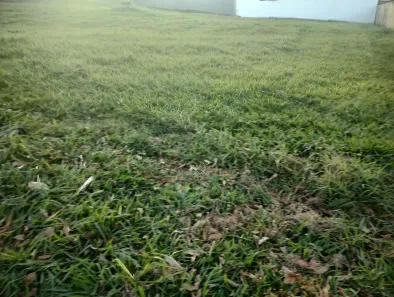 Lote/Terreno à venda, 877m² no Royal Park, Ribeirão Preto
