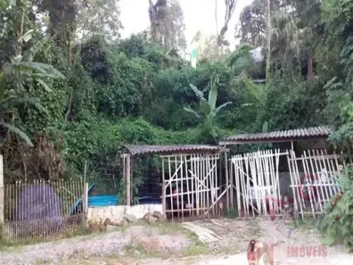 Fazenda/Sítio com 1 Quarto à venda, 2438m² no Mantiqueira, Mairiporã