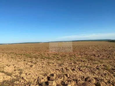 Fazenda/Sítio à venda, 900m² no , Nova Maringá