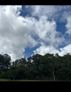 Lote/Terreno à venda, 31m² no Calcilândia, Goiás