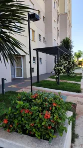 Apartamento com 2 Quartos à venda, 55m² no Lagoa Seca, Santa Bárbara D'Oeste