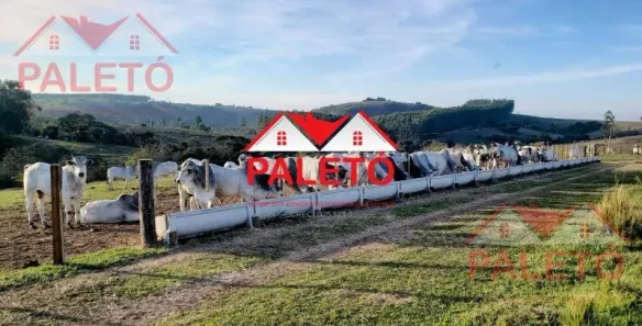 Fazenda/Sítio com 1 Quarto à venda, 232320m² no Área Rural de Porangaba, Porangaba