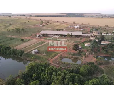 Fazenda/Sítio à venda, 500m² no , Orizona