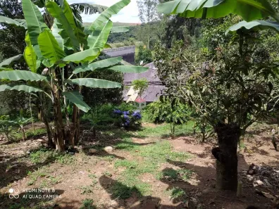 Lote/Terreno à venda, 1164m² no Recreio da Borda do Campo, Santo André