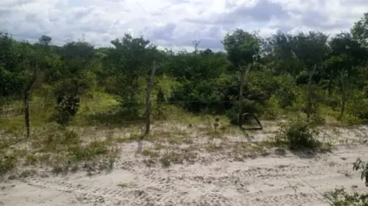Lote/Terreno à venda, 560m² no sao domingos, Barreirinhas