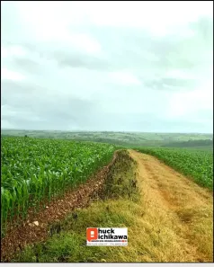 Fazenda/Sítio à venda, 363000m² no Centro, Graccho Cardoso