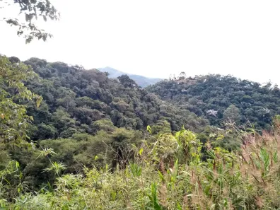 Lote/Terreno à venda, 3000m² no Itaipava, Petrópolis
