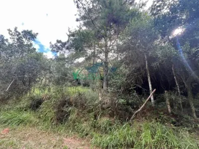 Lote/Terreno à venda, 590m² no Águas Claras, Viamão