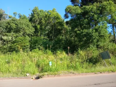 Lote/Terreno à venda, 542m² no Dos Boêmios, Nova Petrópolis