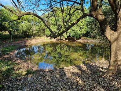 Fazenda/Sítio com 2 Quartos à venda, 500m² no Glebas Califórnia, Piracicaba