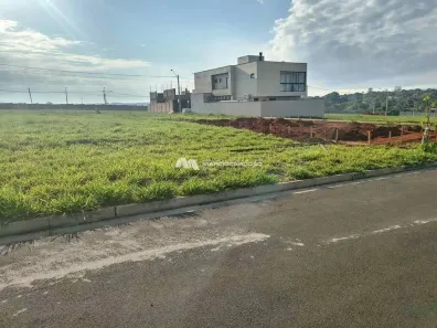 Lote/Terreno à venda, 243m² no Jardim Moysés Miguel Haddad, São José do Rio Preto