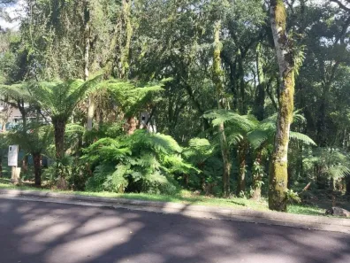 Lote/Terreno à venda, 1096m² no Mato Queimado, Gramado