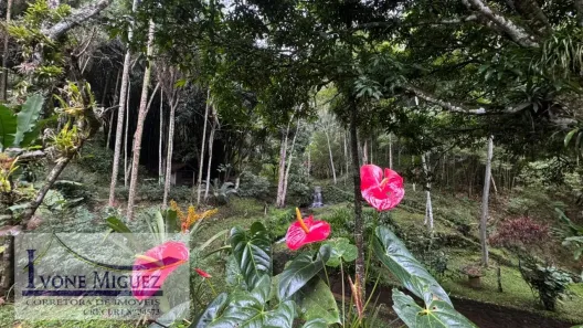 Fazenda/Sítio com 3 Quartos à venda, 193m² no Governador Portela, Miguel Pereira