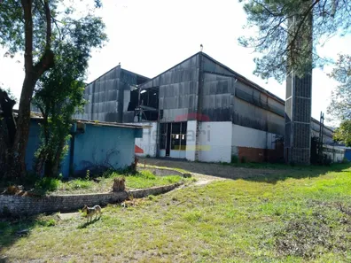 Galpão/Depósito/Armazém para alugar, 5441m² no Cangaíba, São Paulo