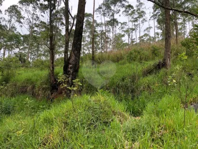Lote/Terreno à venda, 28000m² no Barreiro, Mairiporã