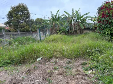Lote/Terreno à venda, 364m² no Campeche, Florianópolis