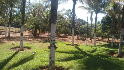 Fazenda/Sítio com 5 Quartos à venda, 12m² no , Santa Cruz de Goiás