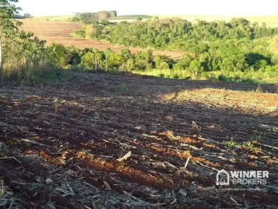 Fazenda/Sítio com 1 Quarto à venda, 30500m² no Estrada Jaborandi, Mandaguaçu
