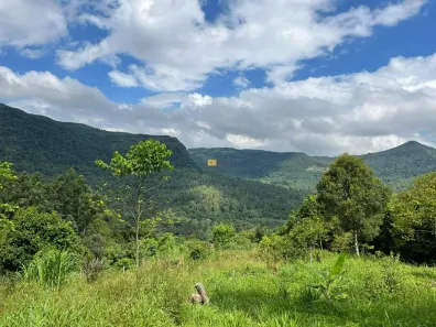 Fazenda/Sítio à venda, 10084m² no , Canela