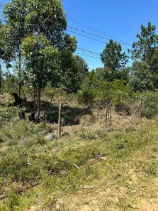 Lote/Terreno à venda, 616m² no Lageado, Porto Alegre