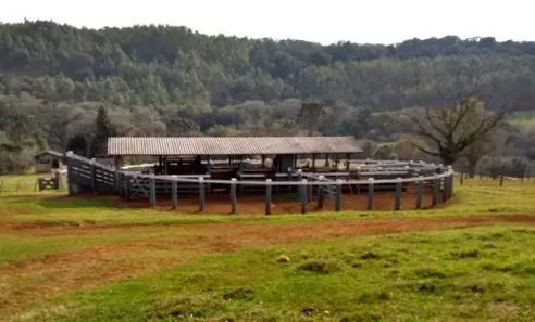 Fazenda/Sítio à venda, 3363800m² no , Luiziana