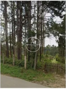 Lote/Terreno à venda, 54330m² no Centro, Embu-Guaçu