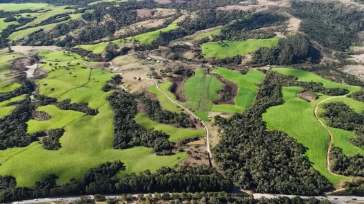 Fazenda/Sítio à venda, 450000m² no , Bom Retiro