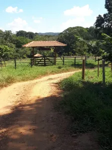 Fazenda/Sítio à venda, 5000m² no Centro, Aragoiânia