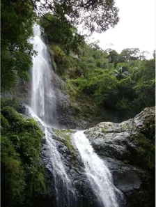 Fazenda/Sítio à venda, 8700000m² no , Maquiné