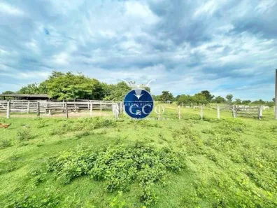 Fazenda/Sítio com 4 Quartos à venda, 41m² no Setor Central, Crixás