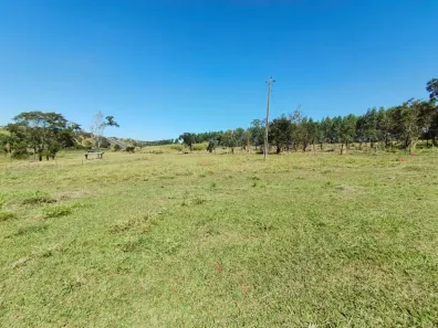Fazenda/Sítio com 2 Quartos à venda, 90m² no , Morrinhos