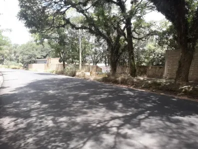 Lote/Terreno à venda, 4431m² no São Tomé, Viamão