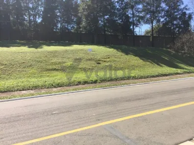 Lote/Terreno à venda, 1077m² no Loteamento Alphaville Campinas, Campinas