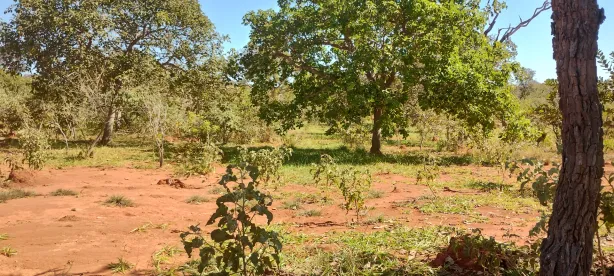 Fazenda/Sítio à venda, 20000m² no Jequitibá, Jequitibá