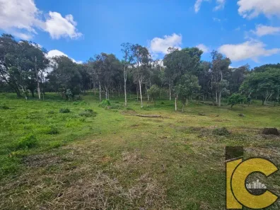 Lote/Terreno à venda, 34870m² no Brasília, São Bento do Sul