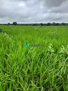 Fazenda/Sítio com 5 Quartos à venda, 4000m² no , Jaíba