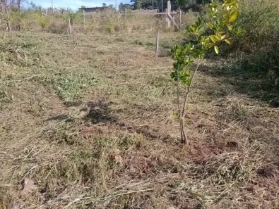 Lote/Terreno à venda, 507m² no , Nova Petrópolis