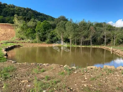 Fazenda/Sítio à venda, 20000m² no , Nova Petrópolis