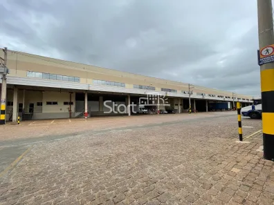 Galpão/Depósito/Armazém para alugar, 4400m² no Jardim Manchester (Nova Veneza), Sumaré