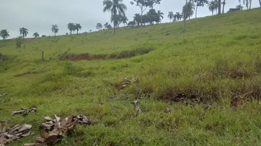 Fazenda/Sítio à venda, 24200m² no Parque San Marino, Piracaia