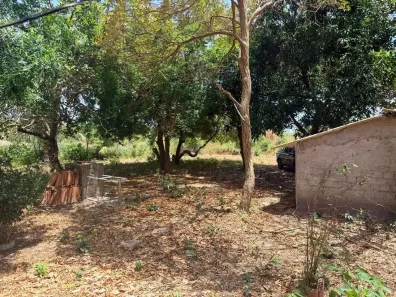 Fazenda/Sítio com 2 Quartos à venda, 5000m² no Boa Vista, Paço do Lumiar